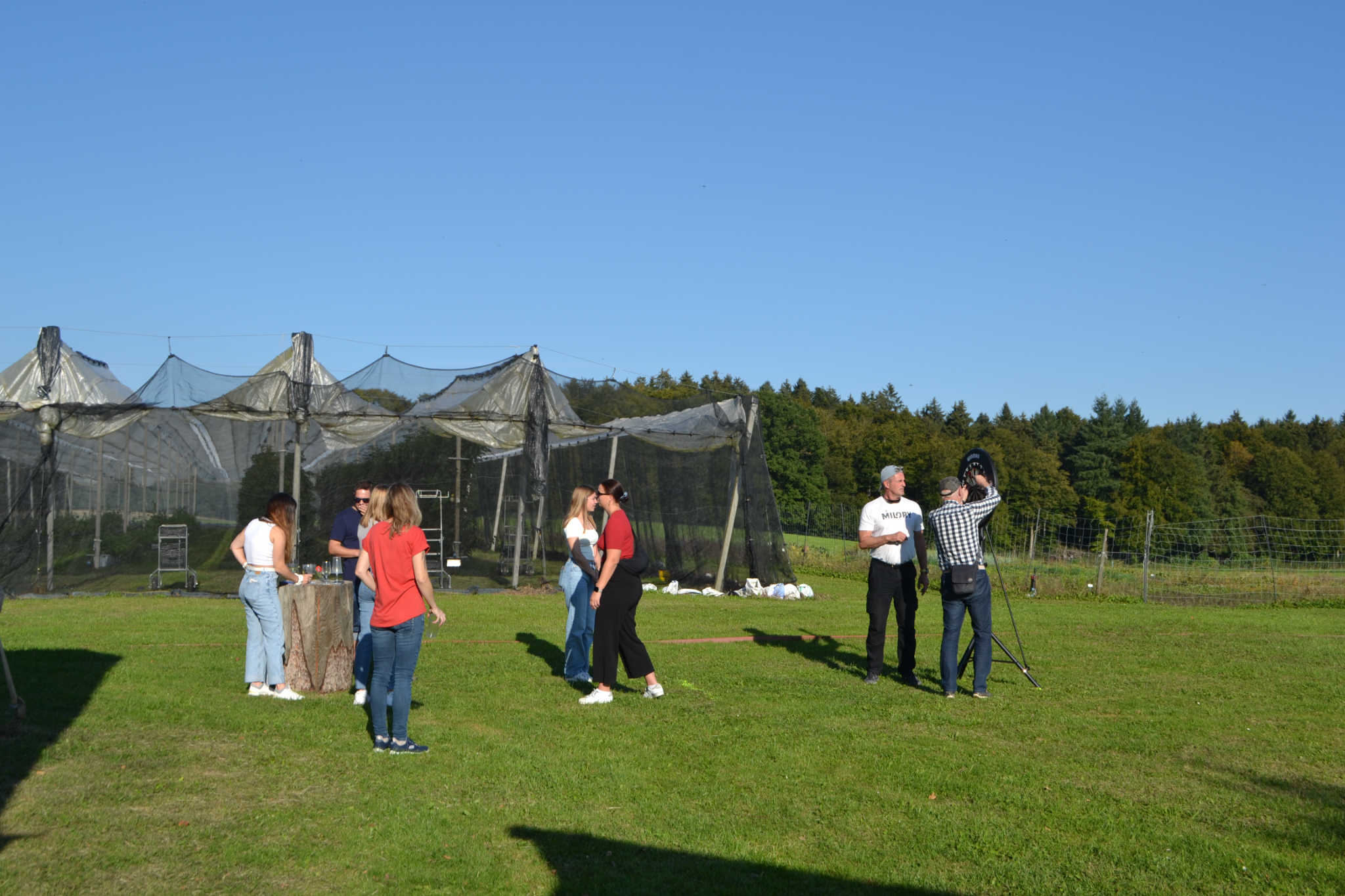 Bild (49)